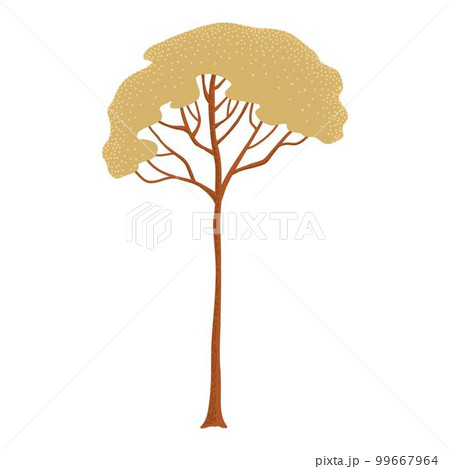 Deciduous and evergreen forest plant isolated on white background. Botanical bare tree and ones with leaves and lush crowns. Flat vector illustration on white background 99667964