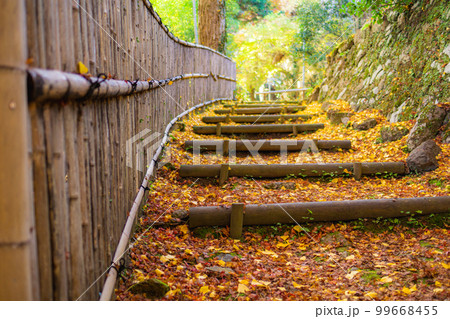 京都西山の金蔵寺の紅葉 もみじの参道 京都西山の金蔵寺の紅葉 もみじの参道 99668455