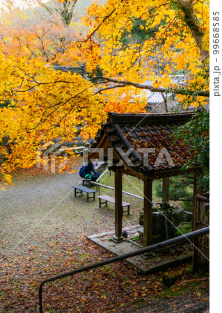 京都西山の金蔵寺の紅葉 手水舎 京都西山の金蔵寺の紅葉 手水舎 99668585