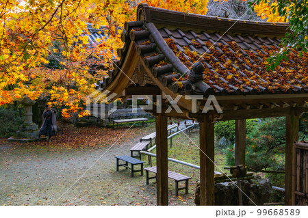 京都西山の金蔵寺の紅葉　手水舎 99668589
