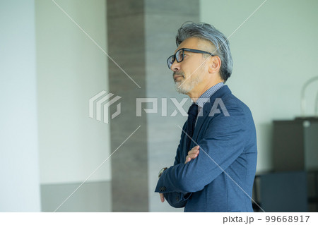 グレイヘアのビジネスマン 99668917