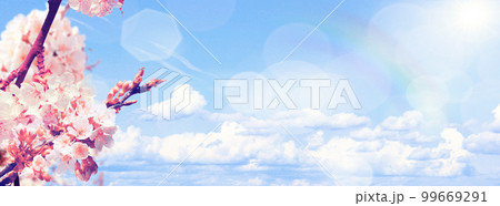 Beautiful nature view of spring flowering trees on blurred background. 99669291