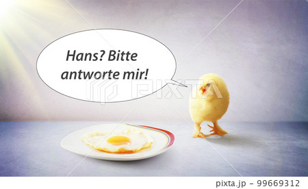 Little cute baby chick for easter. Yellow newborn baby chick. Little cute baby chick for easter. Yellow newborn baby chick. 99669312