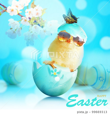 Funny cute baby chick with sunglasses and egg. Funny cute baby chick with sunglasses and egg. 99669313