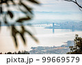 比叡山の登山道から見る琵琶湖の景色 99669579
