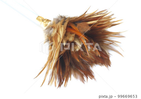 毛ばたき 毛ばたき 99669653