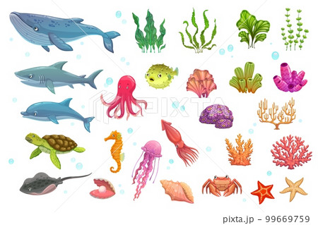 Cartoon underwater animals, seaweeds, fish and corals. Isolated vector whale, shark, dolphin and turtle, stingray, octopus, puffer and jelly fish. Sea horse, squid, crab and shell with ocean starfish Cartoon underwater animals, seaweeds, fish and corals. Isolated vector whale, shark, dolphin and turtle, stingray, octopus, puffer and jelly fish. Sea horse, squid, crab and shell with ocean starfish 99669759