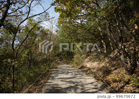 203高地 203高地 99670672