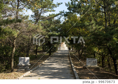 203高地 203高地 99670673