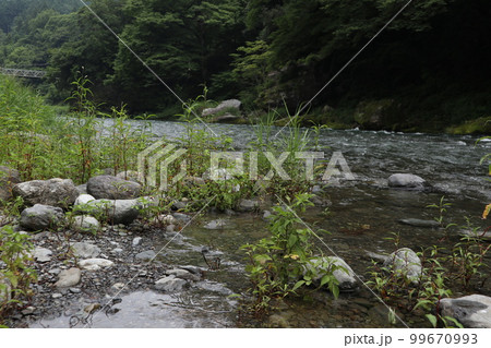 多摩川 御岳渓谷周遊 多摩川 御岳渓谷周遊 99670993