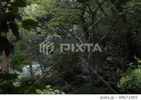 多摩川 御岳渓谷周遊 多摩川 御岳渓谷周遊 99671005