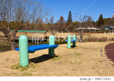 東浦町於大公園の梅 東浦町於大公園の梅 99671091