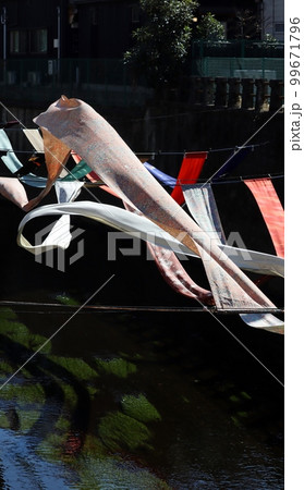 染の小道では、川筋に展示した染物はそよ風に身染の小道では、川筋に展示した染物はそよ風に身を任している 99671796