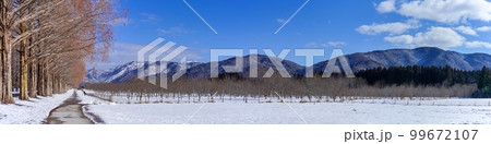 メタセコイヤ並木と雪山のパノラマ情景＠マキノ、滋賀 99672107