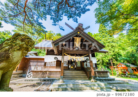 新潟 春日山神社　～拝殿～ 99672380