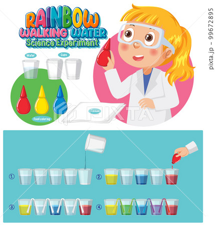 Rainbow walking water science experiment 99672895