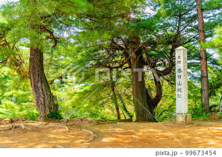 新潟 春日山城跡　～本丸址～ 99673454