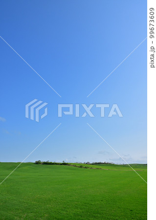 奥熊牛原野 奥熊牛原野 99673609
