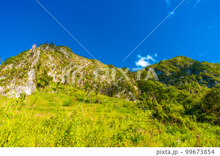 Mountain landscape with green grass field Mountain landscape with green grass field 99673854