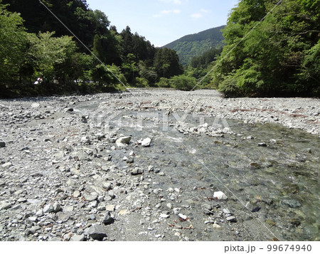 新緑　川 99674940