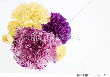 紫とピンクと黄色のカーネーションの花束の写真素材 [99675232] - PIXTA