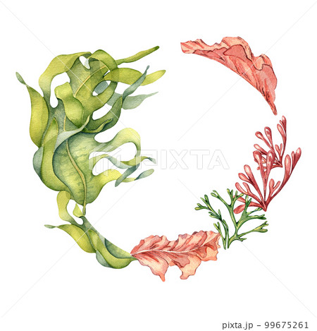 Frame of colorful sea plants watercolor illustration isolated on white. 99675261