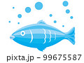 魚 99675587