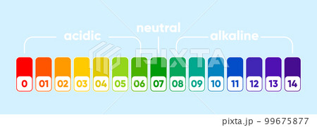 PH scale meter for acidic and alkaline solutions. Acid-base balance scale. Chemical test. Vector illustration. 99675877