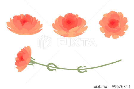 カーネーションのイラストパーツセット 99676311