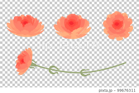 Carnation illustration parts set 99676311