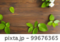 緑と木製壁の背景 99676365