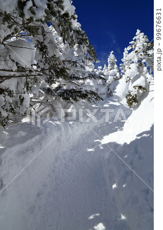 [定額] 厳冬期の北横岳の樹林帯の風景 ( 北横岳ヒュッテ から 南峰 の区間 ) 99676631