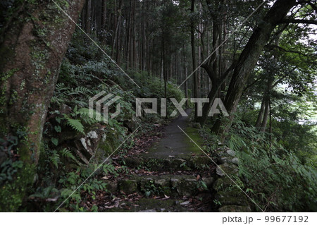 多摩川 御岳渓谷周遊 多摩川 御岳渓谷周遊 99677192