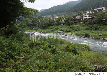 多摩川　御岳渓谷周遊 99677193