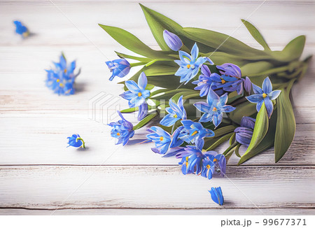 Top view blue Scilla flowers on white wooden background with space for text. First spring flowers. Greeting card for Valentine's Day, Woman's Day and Mother's Day Top view blue Scilla flowers on white wooden background with space for text. First spring flowers. Greeting card for Valentine's Day, Woman's Day and Mother's Day 99677371