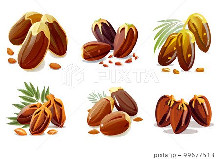 set vector illustration of muslim ramadan date fruit concept 99677513