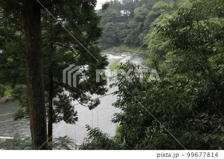 多摩川 御岳渓谷周遊 多摩川 御岳渓谷周遊 99677814