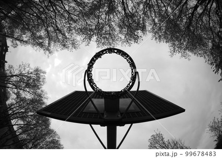 Grayscale of basketball hoop from below in the park Grayscale of basketball hoop from below in the park 99678483