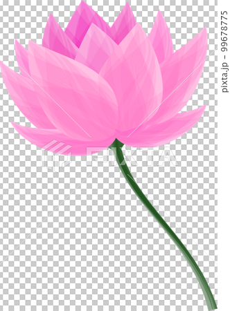Abstract art lotus flower 99678775