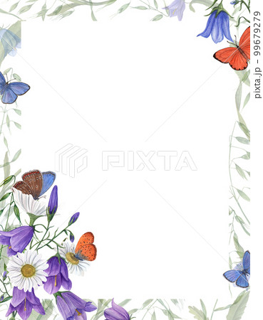 Watercolor flower card with daisy, campanula, butterflies. Template for postcard, Save the date, Valentine's day, birthday and mothers day cards, wedding invitation 99679279
