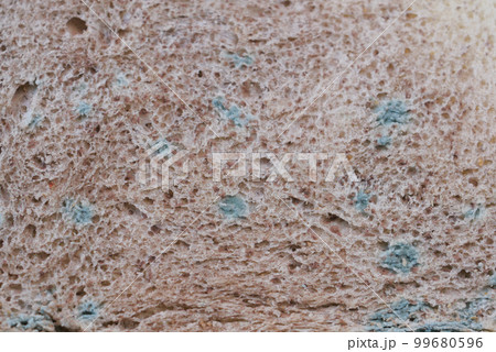 brown bread with mildew. Spoiled products brown bread with mildew. Spoiled products 99680596