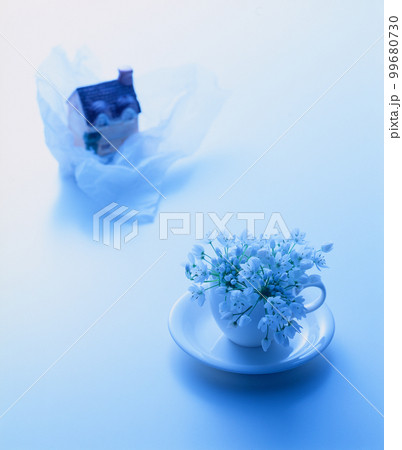 イメージ写真　花　flower　フラワー 99680730