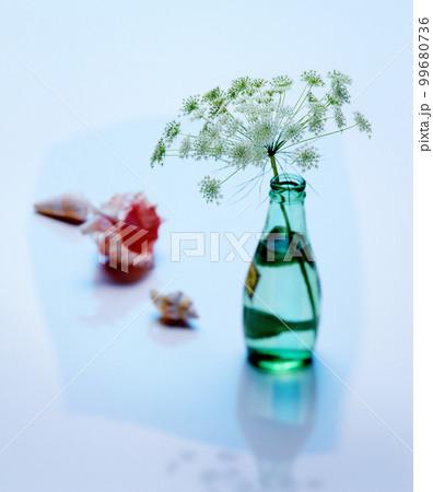 イメージ写真 花 flower フラワー イメージ写真 花 flower フラワー 99680736