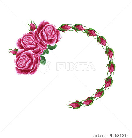 Handdrawn Watercolor pink roses wreath boarder on the white background. Scrapbook design elements. Typography poster, wedding invitation, postcard, label, banner design. 99681012