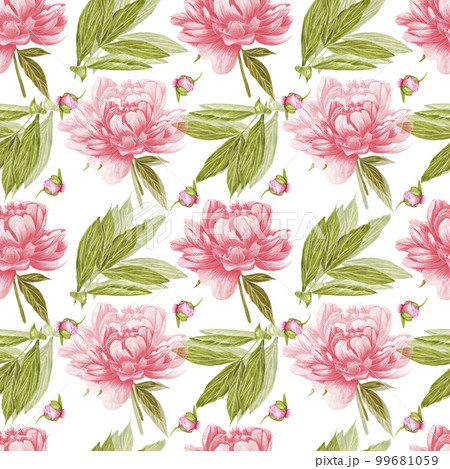 Handdrawn peony flowers seamless pattern. Watercolor pink peony with green leaves and buds on the white background. Scrapbook design, typography poster, label, banner, textile. 99681059