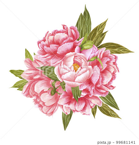 Handdrawn Watercolor red, cream and pink peony flowers bouquet with green leaves on the white background. Scrapbook design, typography poster, label, banner, post card. 99681141
