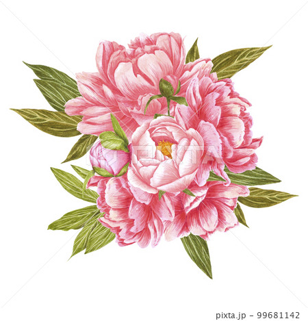 Handdrawn Watercolor red, cream and pink peony flowers bouquet with green leaves on the white background. Scrapbook design, typography poster, label, banner, post card. Handdrawn Watercolor red, cream and pink peony flowers bouquet with green leaves on the white background. Scrapbook design, typography poster, label, banner, post card. 99681142