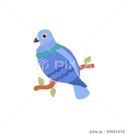 Cute pigeon sitting on tree branch with leaves, cartoon flat vector illustration isolated on white background. 99681656