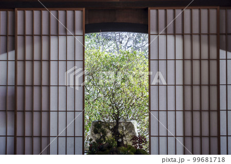 天台宗　青蓮院門跡　華頂殿　梅の盆栽（京都市東山区） 99681718