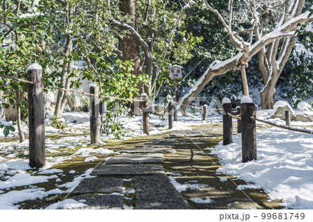 天台宗　青蓮院門跡　雪が積もった庭園を散策（京都市東山区） 99681749